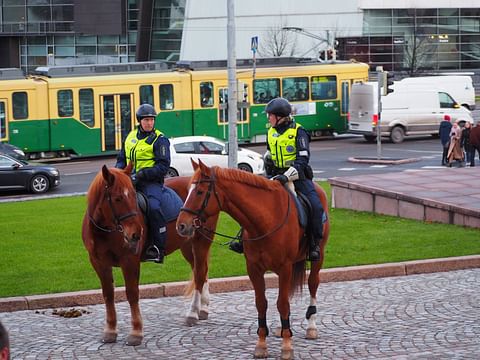 Ratsupoliisi rekrytoi hevosia: “Virkamiesten pitää käyttäytyä ennustettavasti”