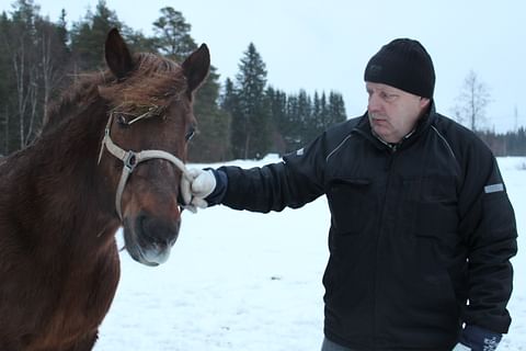 Pimpotar ja Seppo Kivimäki Hanna Laakson kuvaamina joulukuussa 2016.