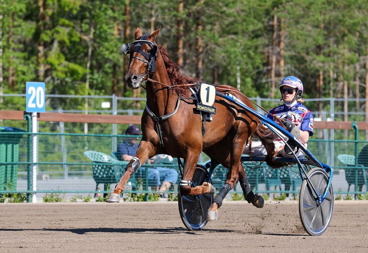 Majestic Man leiskautti ensimmäisen Angeliquen Muistoajon voittoon. Kilpailussa sitä ohjasti Niko Jokela (kuvassa Olli Koivunen).