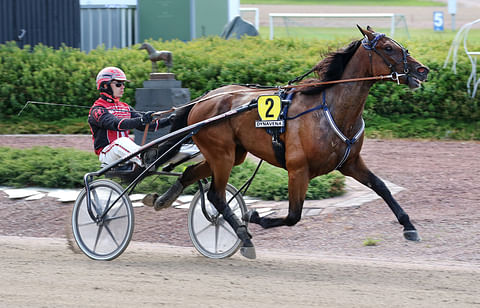 Ravihevonen Governor Hoss vaihtoi valmentajaa.