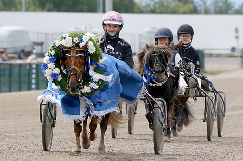 Pomona II vei Suomen mestaruuden poninmitalla ennen Thorvaldia. Kuva: Anu Leppänen