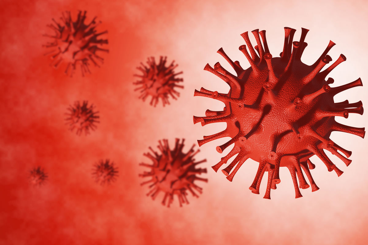 Bioturvallisuustoimenpiteet EHV-1 -virusta vastaan ovat käytössä. 