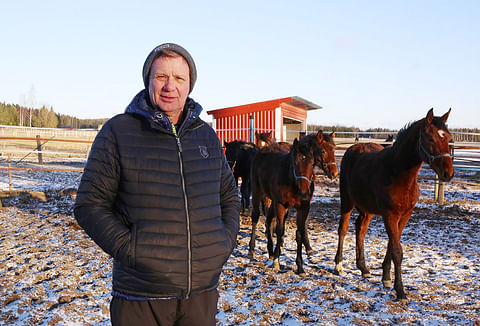 Match-hevosia kasvattava Markku Punkari jatkaa satsaamista laatutammoihin.