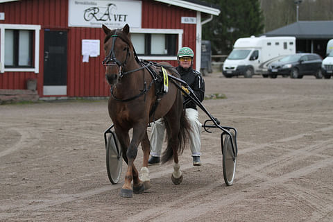 Kymmenen 22 kilpailustaan Raineri Puikkoselta voittanut Issakan Valo jatkaa uraansa Jussi Suomisen tallista.