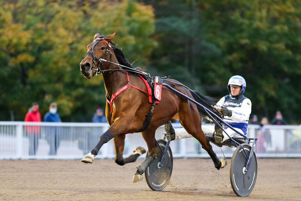 Kasvattajarahat jaettiin, Top-4: Mascate Match, An-Dorra, Elian Web ja  Evartti