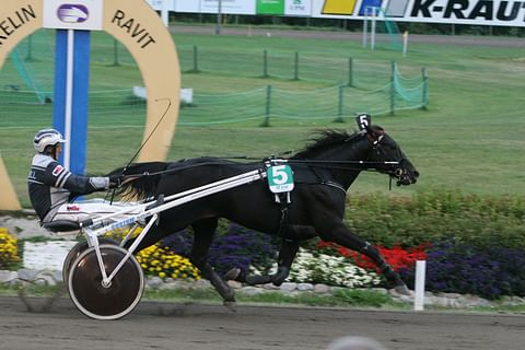 Ever To Excel voitti suursuosikkina avoimen lähdön Mikkelissä vuonna 2007. Kuva: Hevosurheilun arkisto.