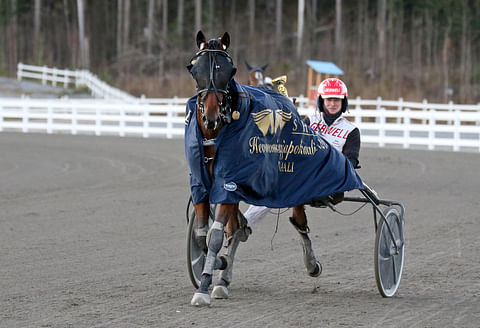 Iikka Nurmonen ohjasti Zolamanin voittoon Hevosenomistajapokaalissa.