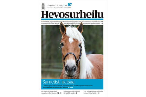 Suven Sametti on Hevosurheilun keskiviikkolehden lähikuvahevonen. Kuva: Anu Leppänen