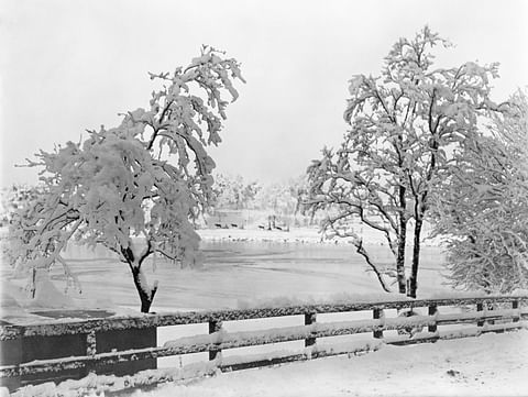 Valokuva kuin uni. Kuvassa Töölönlahtea, takana Mäntymäki ja hevosia rekineen noin vuonna 1930.