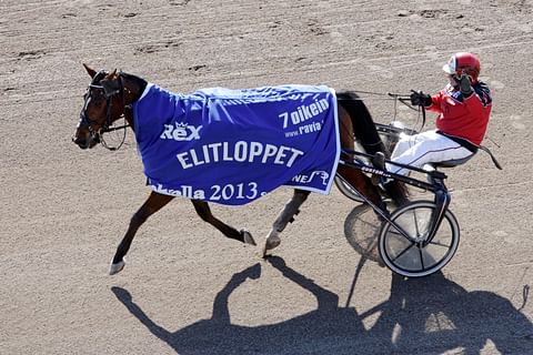 Suomessa 5 vuotta kilpaillut Daniel Palema voitti urallaan 31 kertaa ja ansaitsi yli 291 000 euroa, kärryillä hevosen valmentaja Risto Airaksinen. 