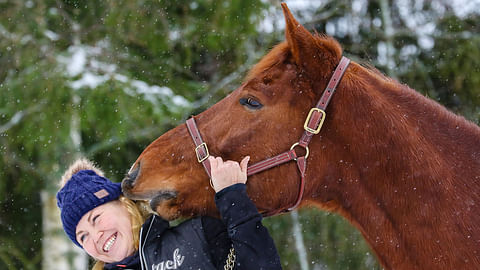Toissavuoden voitokkaimman hevosen kilpakengät laitettiin naulaan – ”Toimenkuva vain vähän muuttuu”