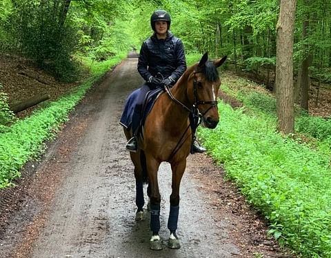 Hevosenhoitaja Tiia Karhu: Ruotsalaisilla on terveet ja onnelliset hevoset