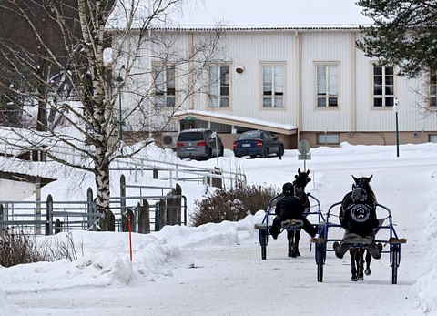 Hevosopisto sai uuden hallituksen.