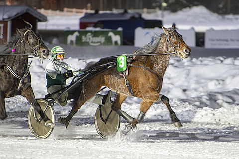 Cazador teki väkevän suorituksen johtavan rinnalta Kuopiossa. Hevosen ohjasti voittoon valmentaja Teuvo Nikulainen. Kuva: Juhani Hynynen