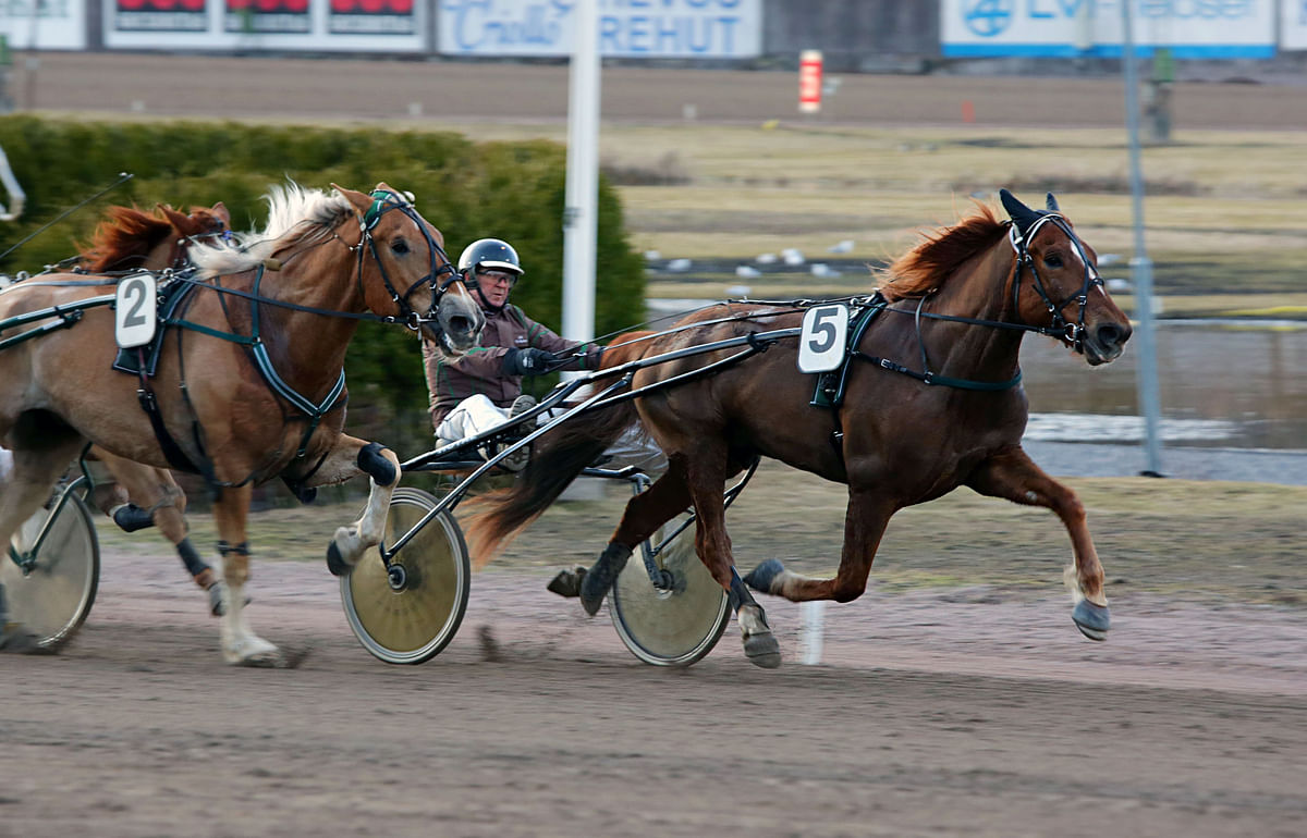 Ari Kotikulma ajoi Synerin keulavoittoon.