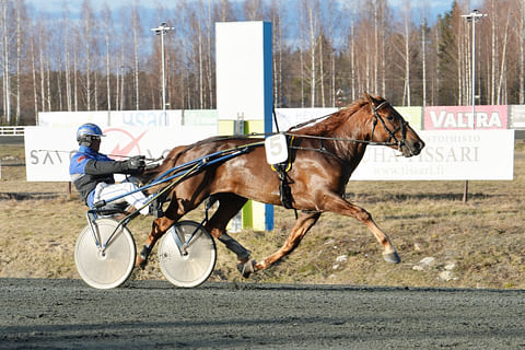 Henri Bollström ajoi hevoseen luottaen.