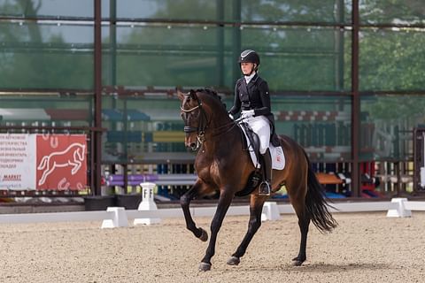 Sir Skyfall on Anna von Wendtin Pariisin hevonen. Tässä kuvattuna Horsemarket Equestrian Spring Tourilla.