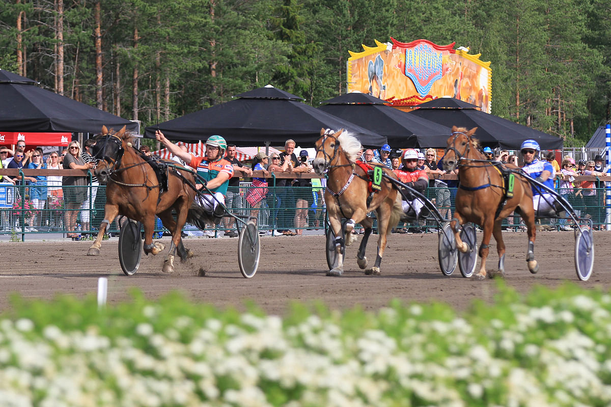 Hetviina juoksi Nordic Queenissa suomenhevostammojen kauden kärkituloksen 21,9a. Toiseksi sijoittunut Ciiran Tähti teki kovan juoksun, ja sitä vuotta nuorempi Suven Sametti oli hyvä kolmas. Kuva: Roosa Lindholm.