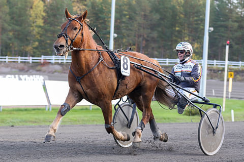 Seppo Markkula on ajanut Karlon starteista valtaosan.
