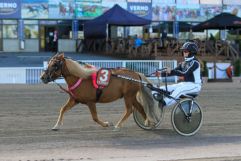Derbypäivä käynnistyi TNT:llä - A-poneista kipinä Ruotsiin suuntaavan Pinja Lännenpään hevosuralle
