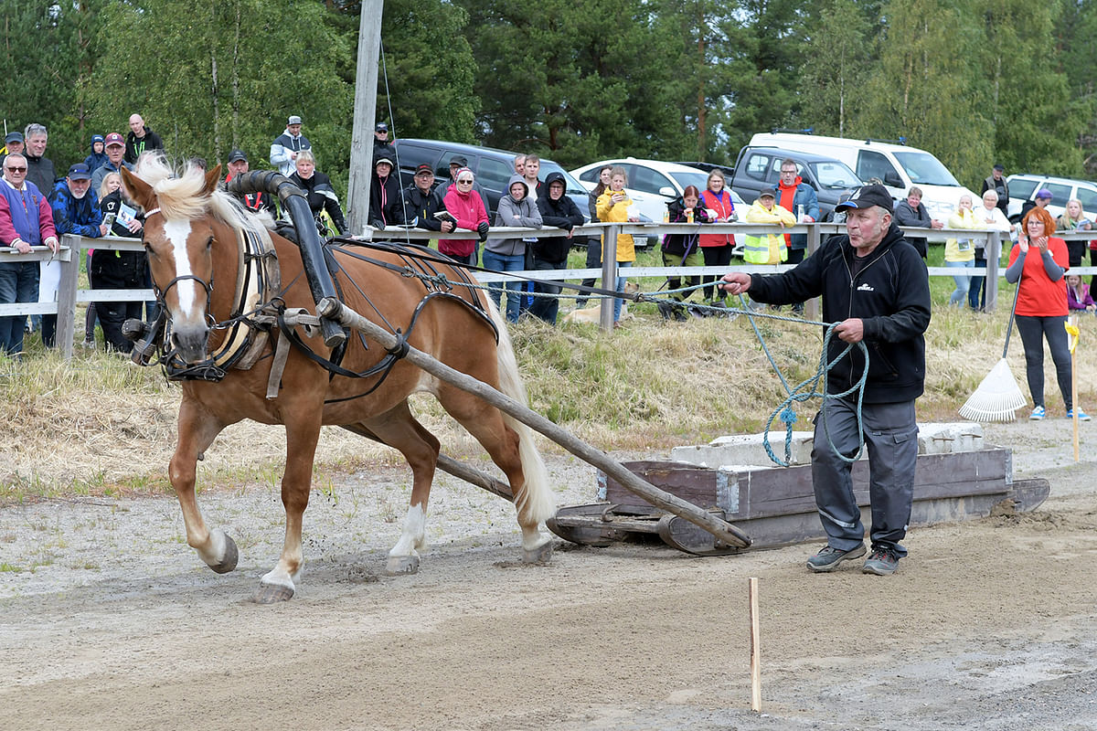 Tähden Piirros geenitieteen historiaan