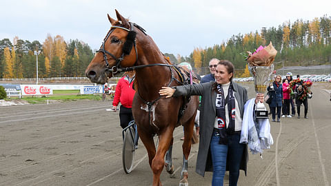 V.G. Voitto on yksi jalostusarvosteluun osallistuvista nuorista suomenhevosista. Kuvassa  Alexandra Grönfors-Jurvelin onnittelee hevosta Kriteriumin voiton jälkeen.