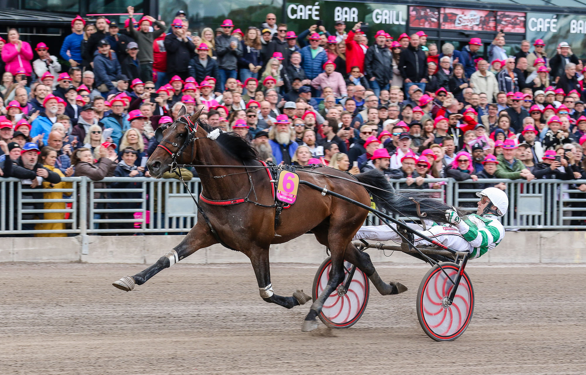 Paul Hagoortin Elitloppet-kolmonen Mister F.Daag Saapui Åbyyn Hollannista