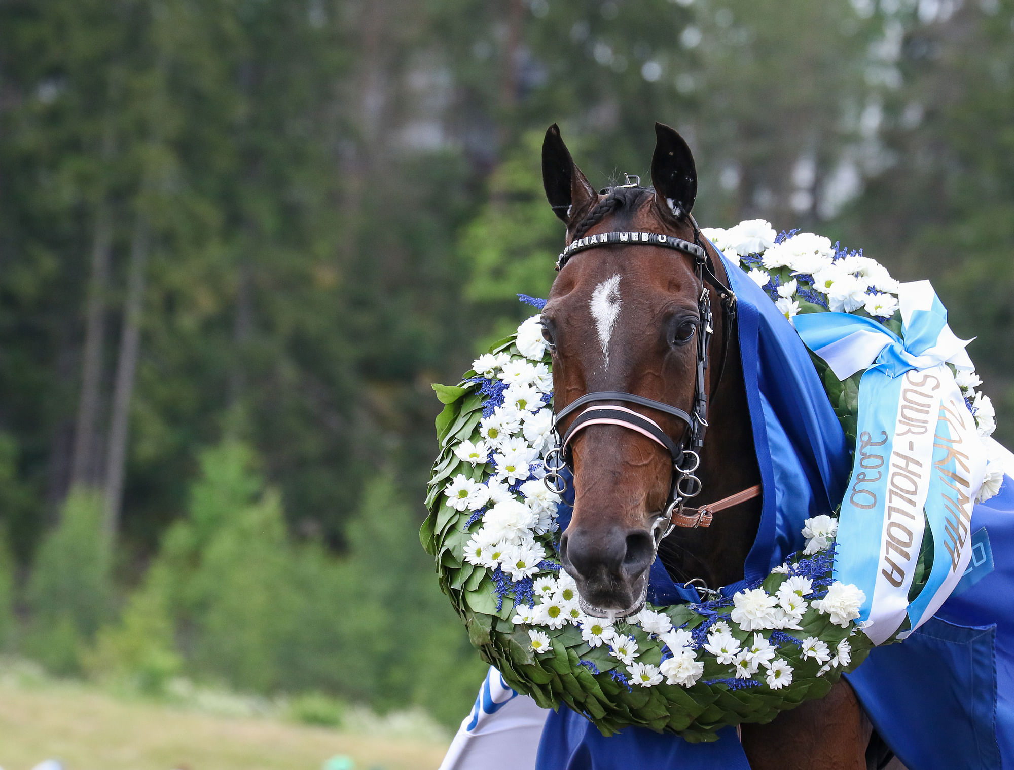 Kiitos Kaikesta, Elian Web – Katso Upea Ura Kuvina