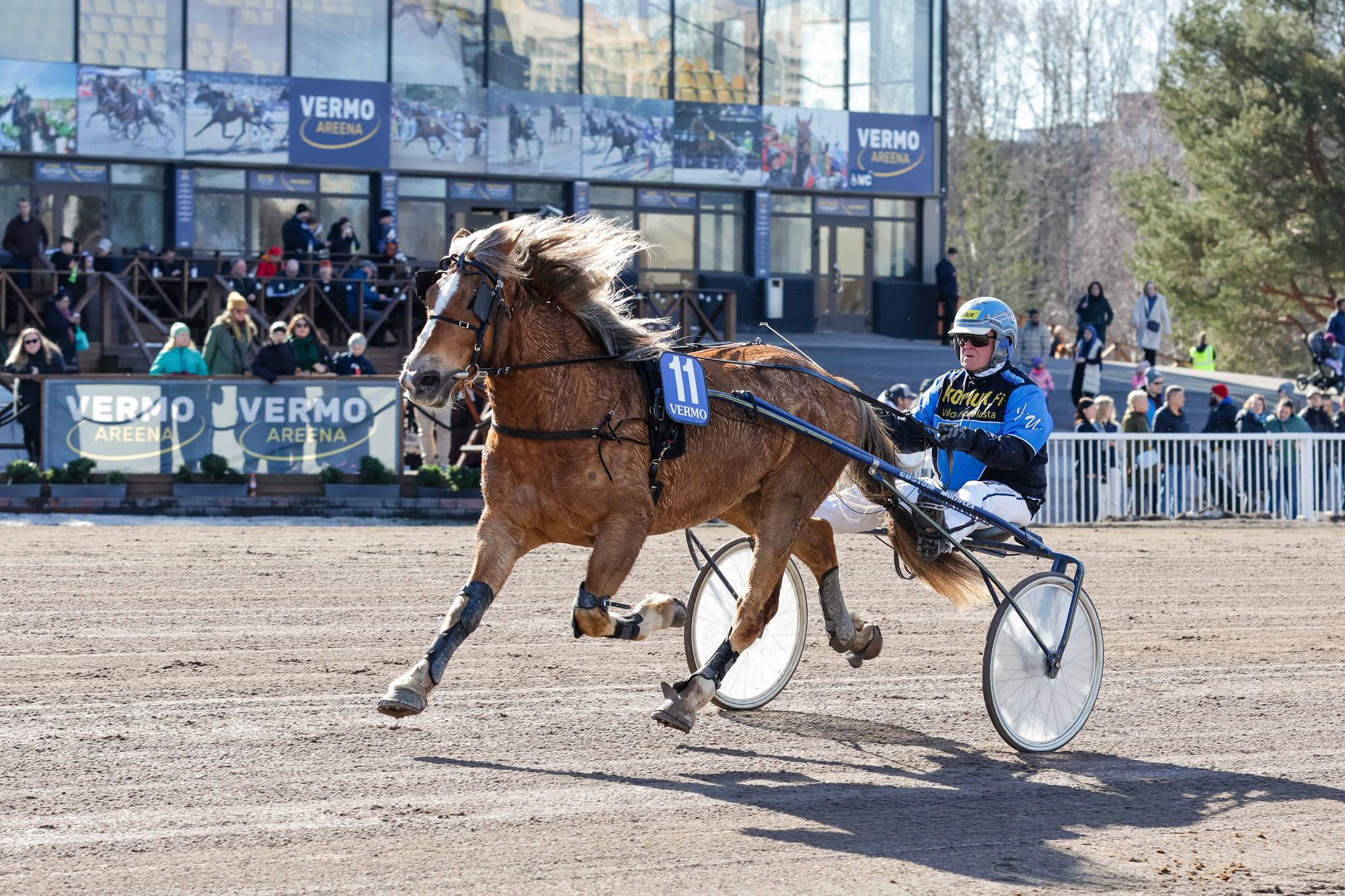 Hevosurheilun Toto65-ideavihje Vermo: Ideavarmalla Kuusi Oikein -jahtiin