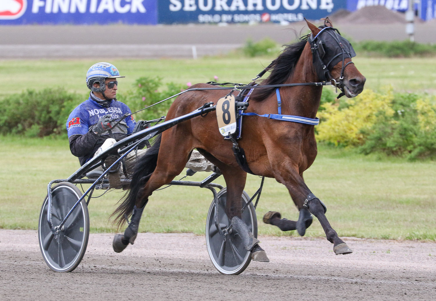 Hevosurheilun Toto75-ideavihje Forssa: Alipelattu Loppuun Saakka