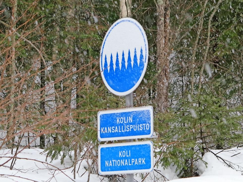 Koli-niminen varausalue sijaitsee nimensä mukaisesti Kolin kansallispuiston "naapurissa".