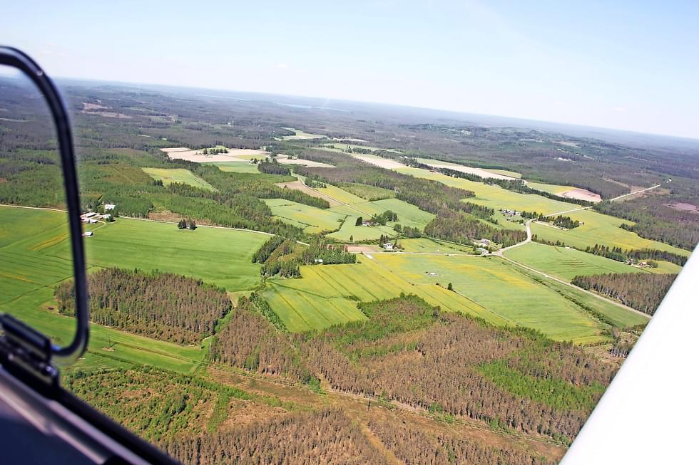 Biokaasulaitoksessa käsitellään Viekijärven maatiloilla muodostuvaa peltobiomassaa, kuivalantaa sekä pilaantunutta ja ylijäämärehua.