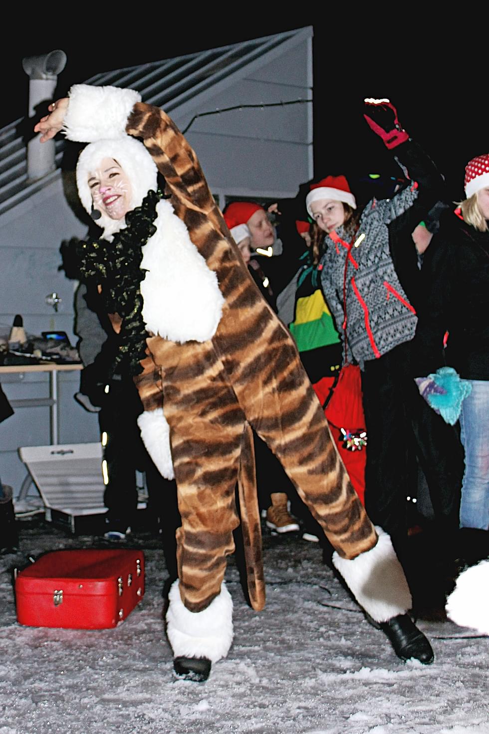 Miauskis-kissa esiintyi muutama vuosi sitten Lieksan joulun avaus -tapahtumassa.