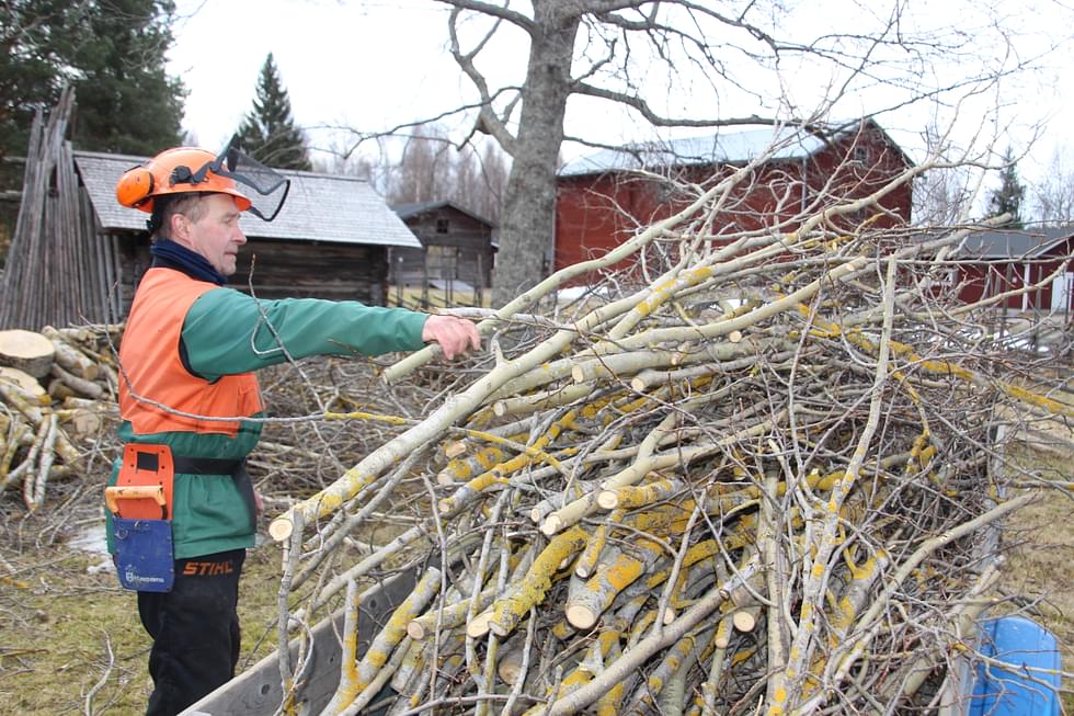 Veli-Matti Makkonen teki puustonhoitotöitä ulkomuseon alueella viime viikolla.
