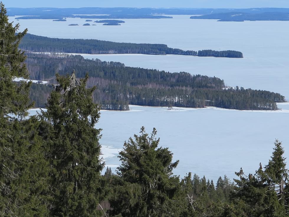 Kolin kaupunki eli Lieksa ja muut VisitKarelian omistajat pohtivat sen jatkoa ja matkailumarkkinoinnin tulevaisuutta.