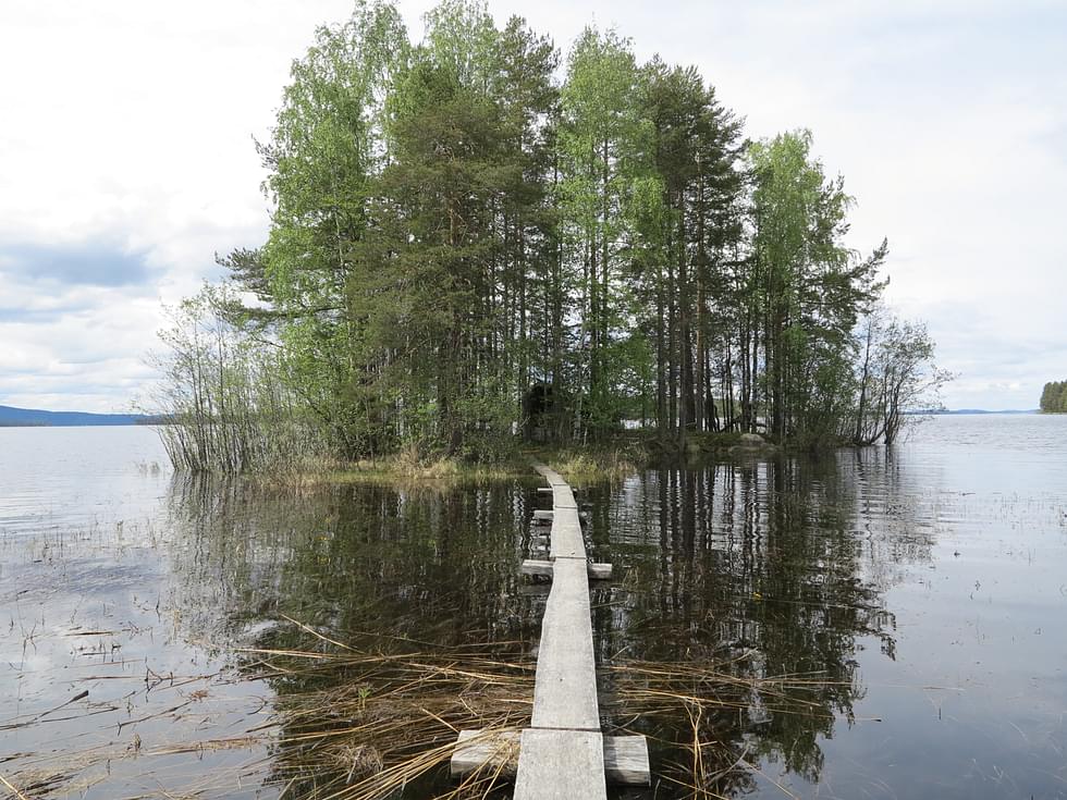 Pielisessä on vettä tavallista enemmän.