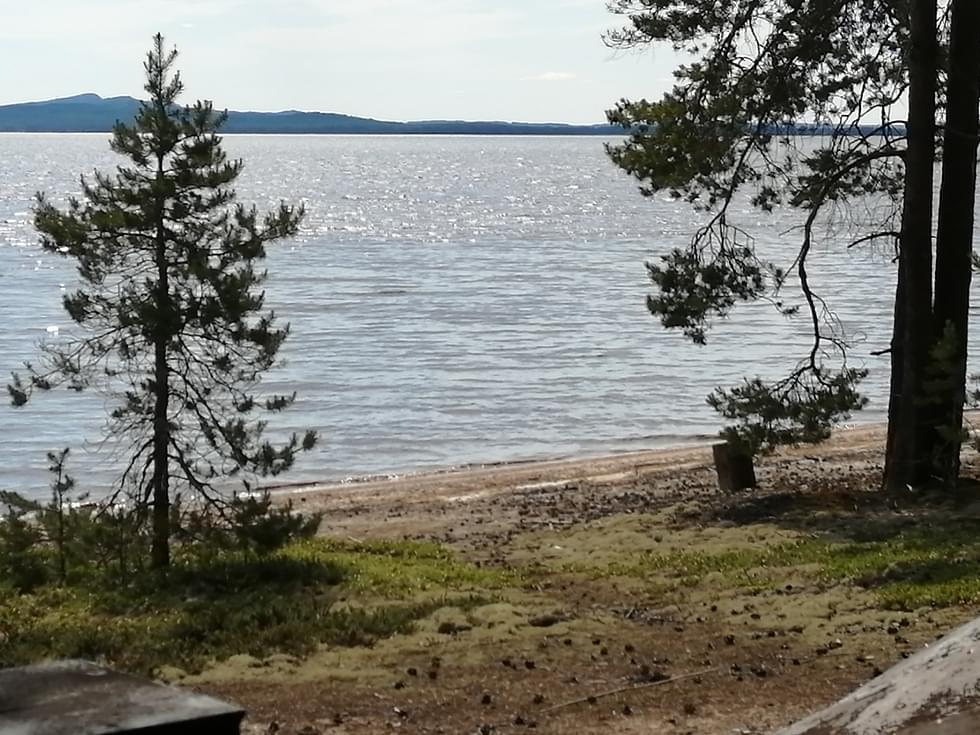 Viikonlopuksi ennustetaan runsaita sateita Lieksaan ja muualle Itä-Suomeen, millä on vaikutusta esimerkiksi Pielisen vedenkorkeuteen, joka ei ala laskea.