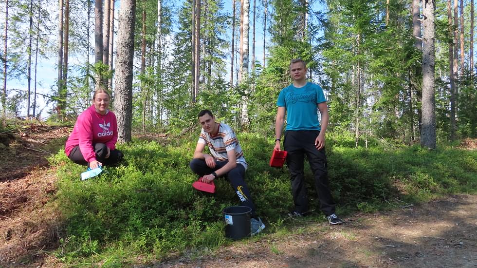 Mariia Tolochko (vas.), Oleksadr Yeromenko ja Ivan Shapovalov käyttävät poimureita, vaikka marjasankkoon tuleekin siten enemmän roskia.
