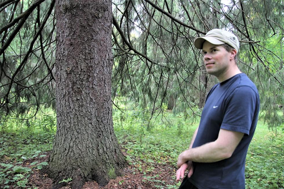 Aiemmin Lieksan seurakunnan metsäasiantuntijana toiminut Henri Maijala on työskennellyt seurakunnan talouspäällikön virassa reilun kolmen vuoden ajan.