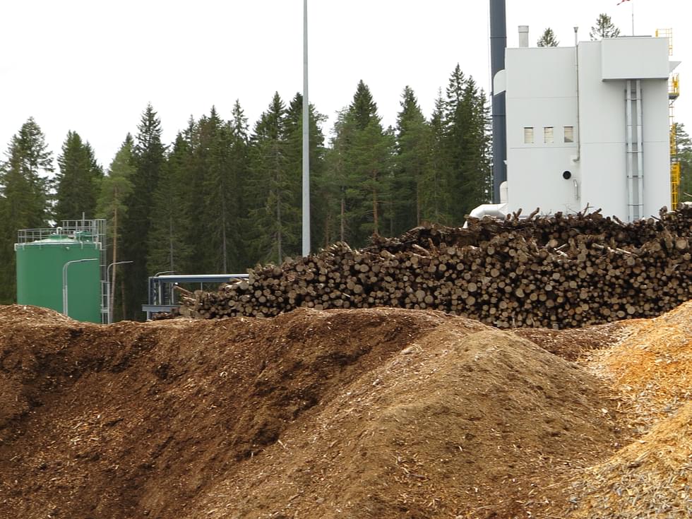  Biomassaa raaka-aineenaan käyttävän GFN Lieksa oy toimii Talttatie 10:ssä sijaitsevissa tuotantotiloissa.