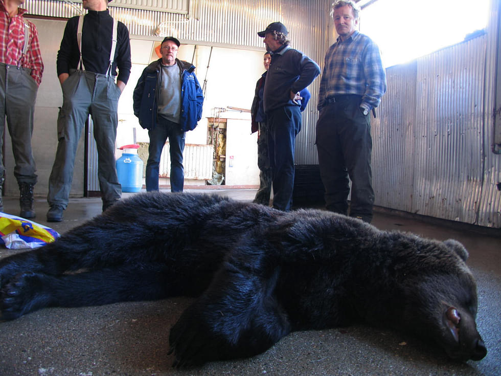 Karhunmetsästys ja sen tulevaisuus puhuttavat.
