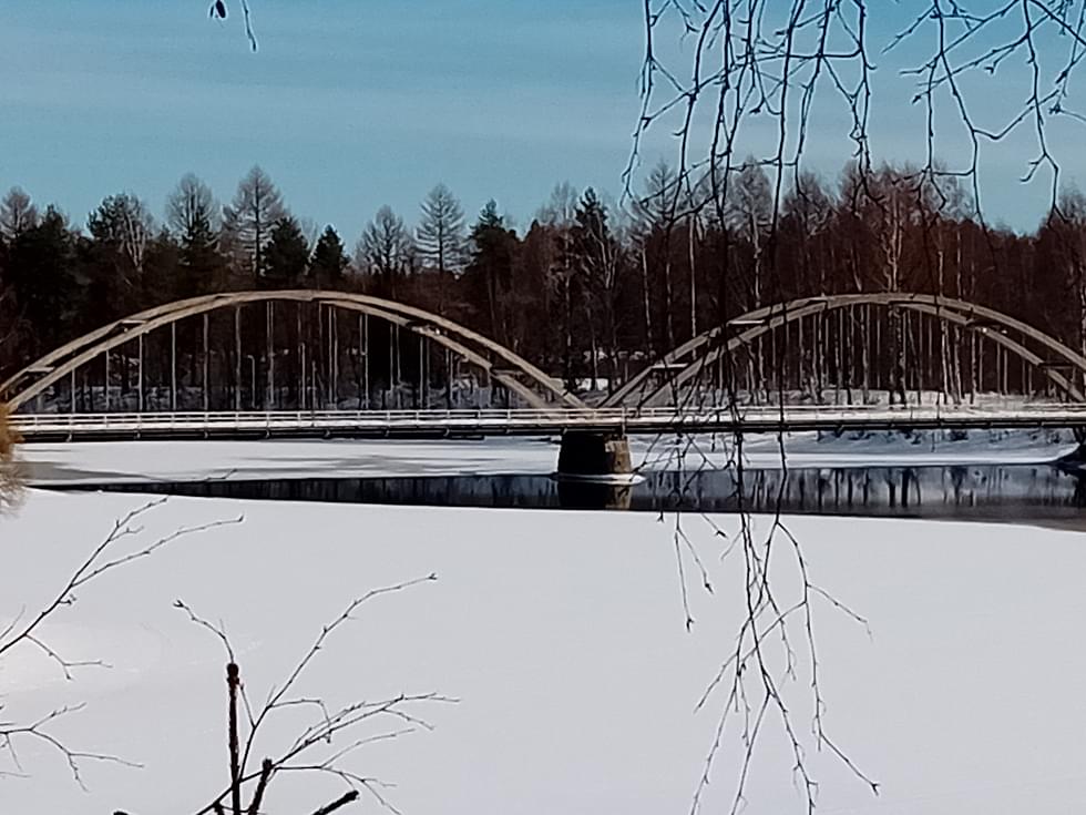 Hallinto-oikeuden mukaan esitettyjen selvitysten perusteella Kaarisilta on ainoa säilynyt 1920–1930 luvun kaksikaarinen silta Suomessa ja harvinainen esimerkki aikakautensa betonikaarisilloista.