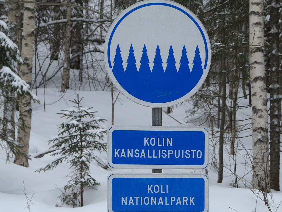 Kulttuuriperintöyhdistys viittaa lausunnossaan lakiin Kolin kansallispuistosta.