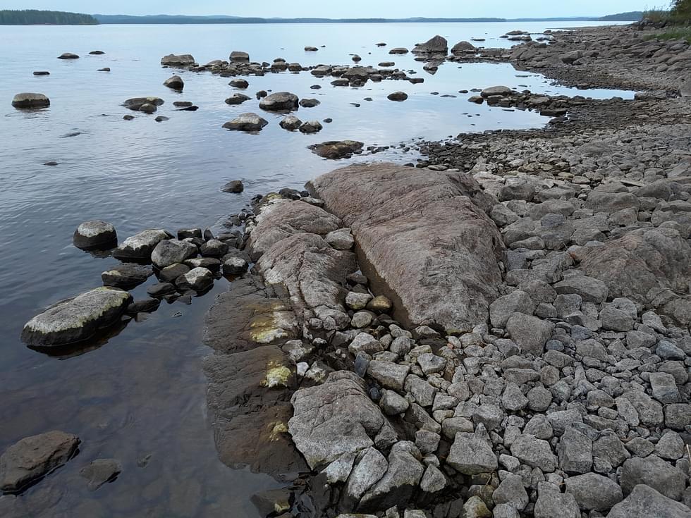 Pielisen rantaviiva on vetäytynyt todella kauas.