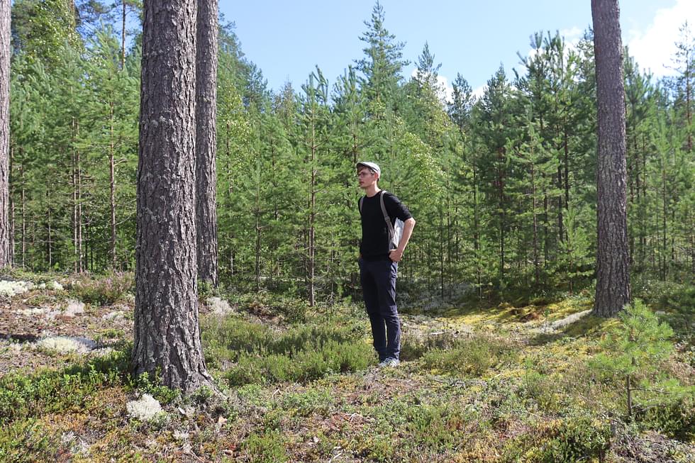 Jonakin toisena aikana Ville Hakamäki olisi seissyt keskellä asumusta. Kivikautisen asuinpainanteen näkemiseen maastossa voi harjaantua.