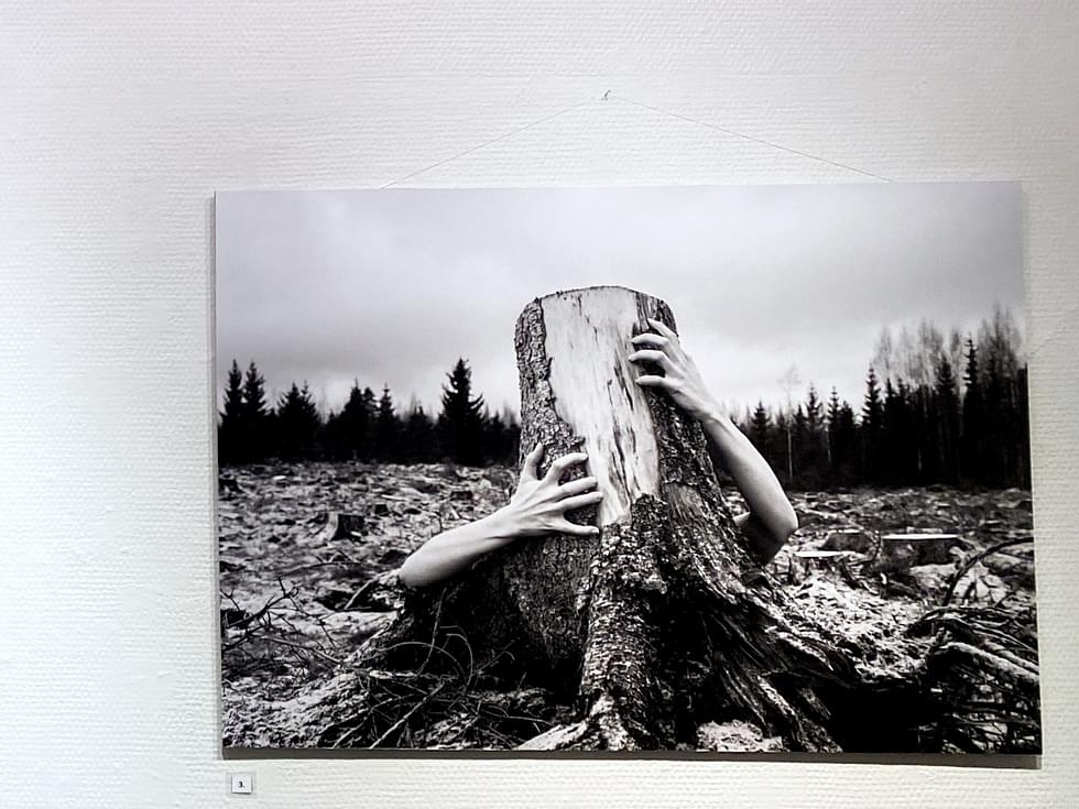Puun halaaminen saa traagisen sävyn Henri Jumppasen valokuvassa. Mallina toinen näyttelyn tekijöistä, Juni Sinkkonen.
