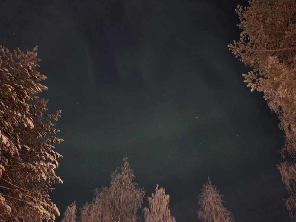 Luonto on yksi Pohjois-Karjalan valttikortti.