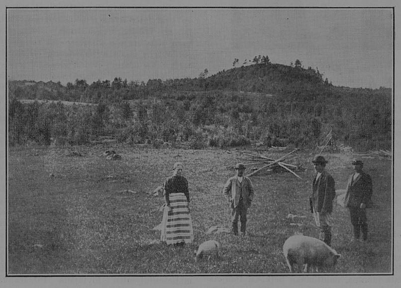 Outokummun Sanomien julkaisema valokuva vuodelta 1899. Kumpua verhosi metsäkasvillisuus.