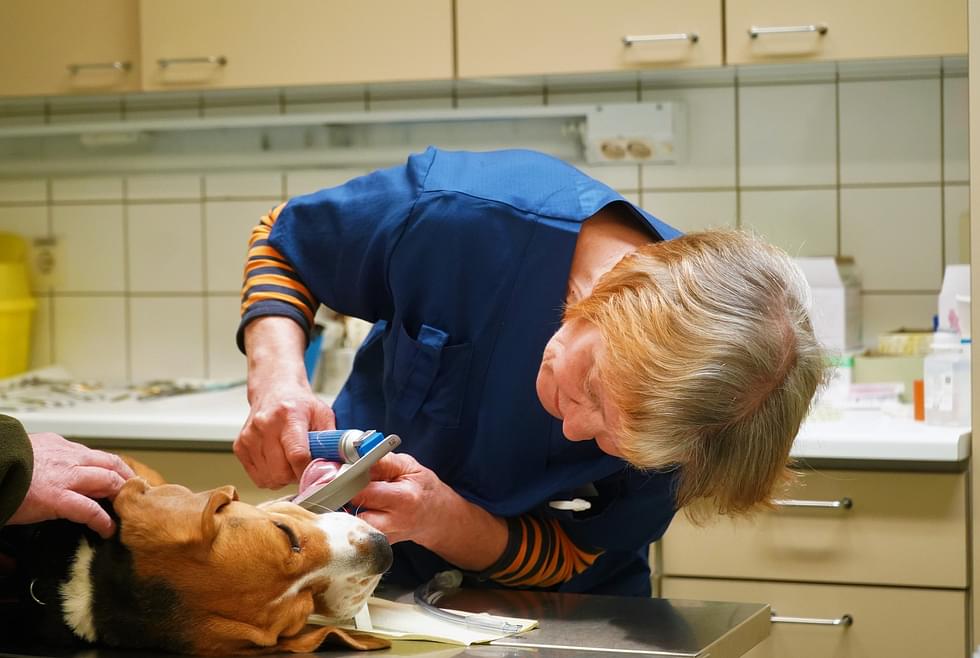 Eläinlääkäri Anja Turusen mielestä nykyiset, vanhassa terveyskeskuksessa sijaitsevat, tilat palvelevat hyvin tarkoitusta.