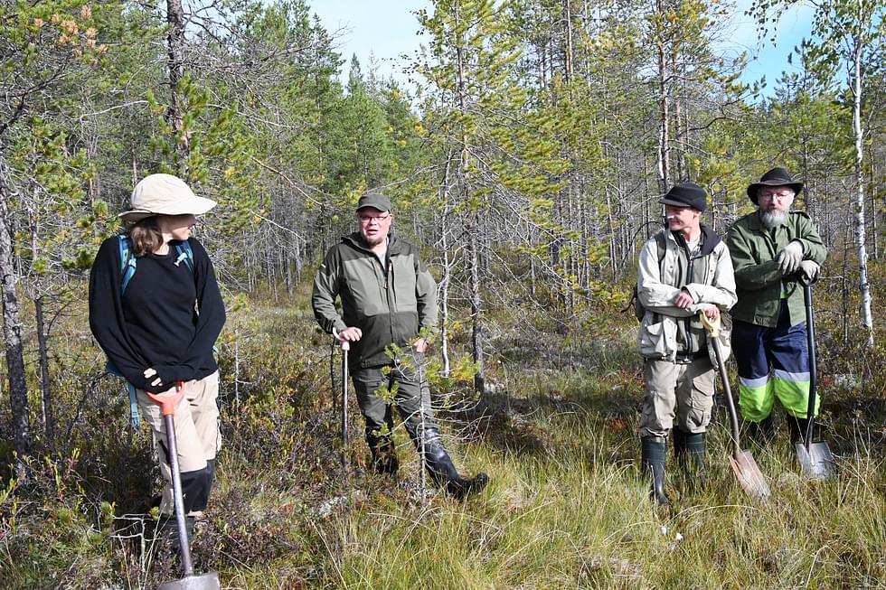 Tornatorin luontoasiantuntija Rauli Perkiö, toinen vas. kertoi suon ominaispiirteistä Terhi Ilosaarelle ja Jehki Potkoselle sekä Markku Martiskaiselle. 